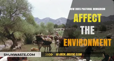 Pastoral Nomadism's Environmental Impact: Land, Livestock, and Ecosystem Changes