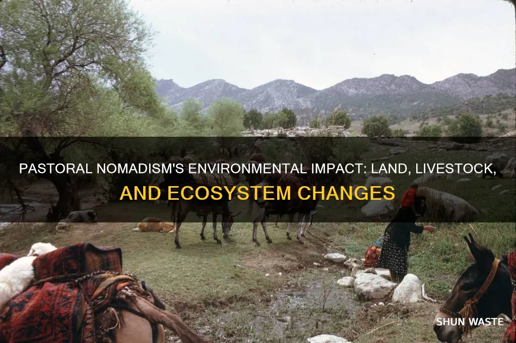 how does pastoral nomadism affect the environment