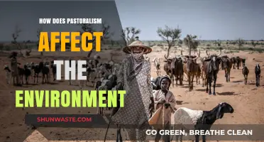 Pastoralism's Environmental Impact: Balancing Livestock, Land, and Sustainability