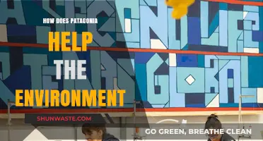 Patagonia's Eco-Friendly Impact: Sustainable Practices Saving Our Planet