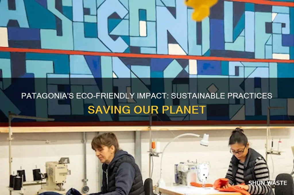 how does patagonia help the environment