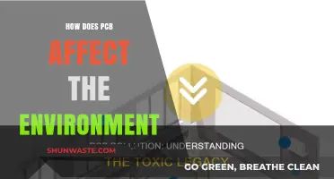 PCB Environmental Impact: Pollution, Wildlife Threats, and Ecosystem Disruption Explained