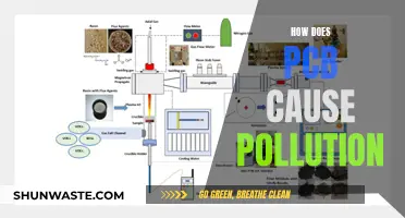 PCB Pollution: A Hidden Environmental Threat