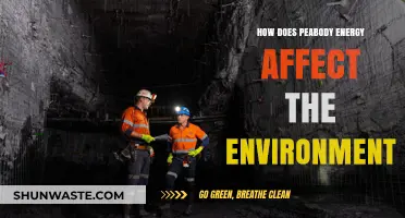 Peabody Energy's Environmental Impact: Coal Mining and Climate Change