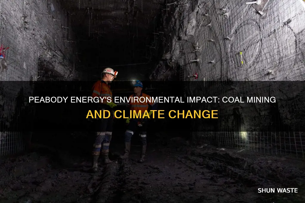 how does peabody energy affect the environment