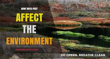 Peat's Environmental Impact: Uncovering Its Effects on Ecosystems and Climate
