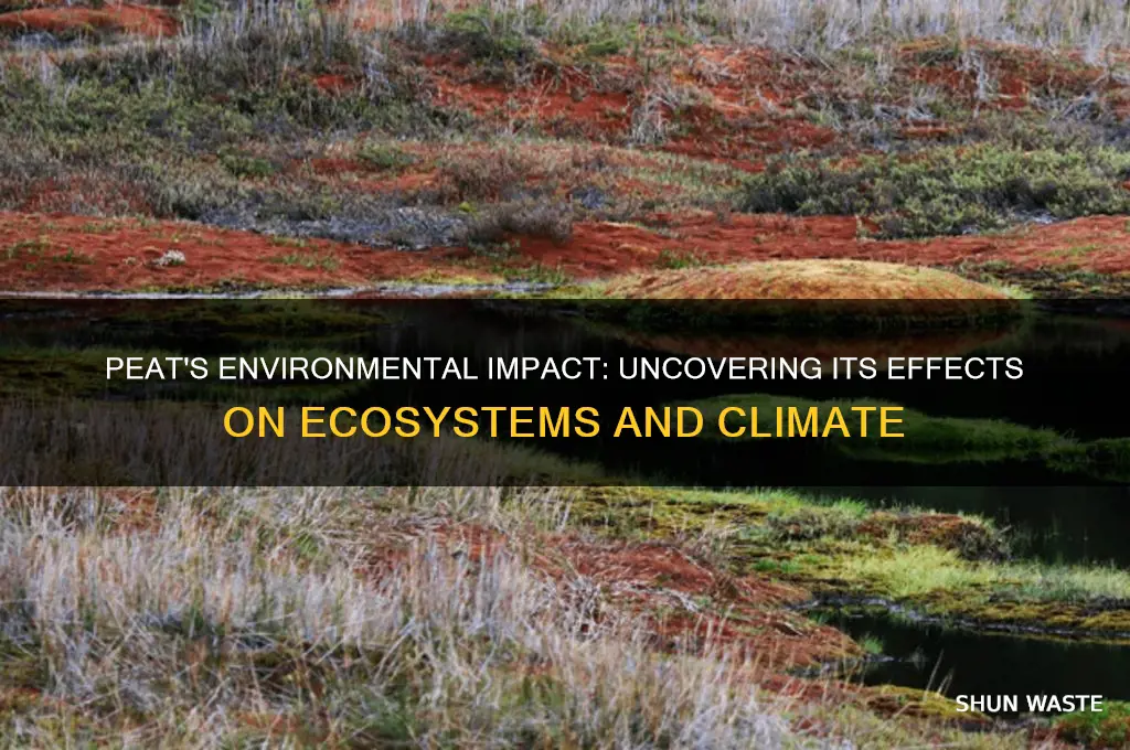 how does peat affect the environment