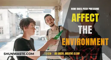 Peer Pressure's Impact: Shaping Environmental Choices and Sustainability Habits