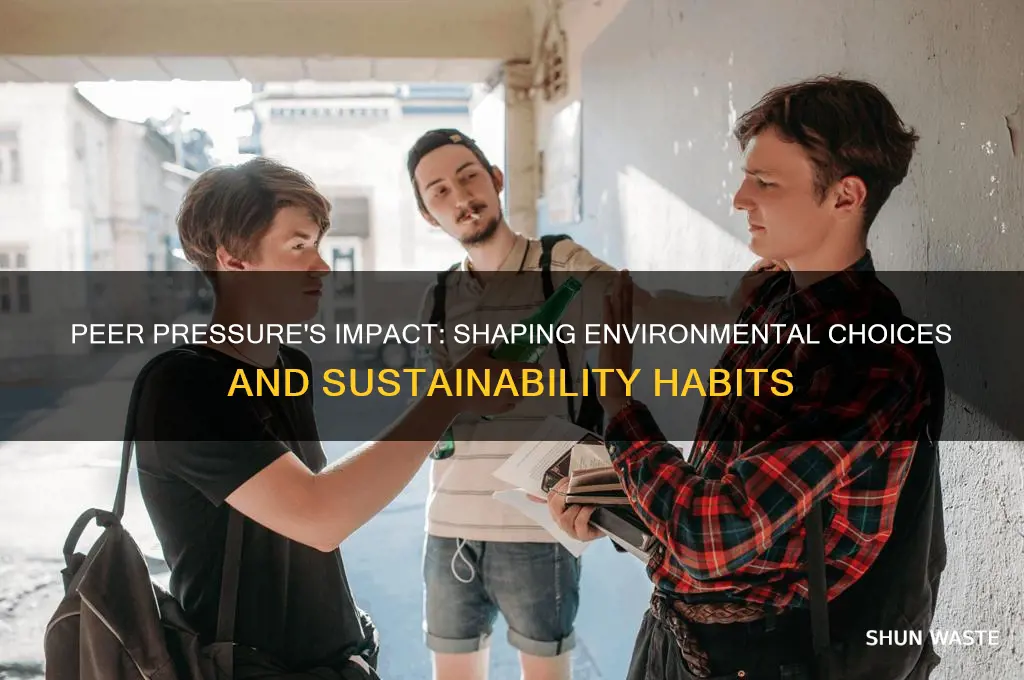 how does peer pressure affect the environment