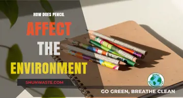 Pencil's Environmental Impact: Sustainable Choices for a Greener Future