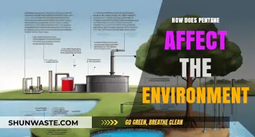 Pentane's Environmental Impact: Pollution, Climate Change, and Ecosystem Disruption Explained