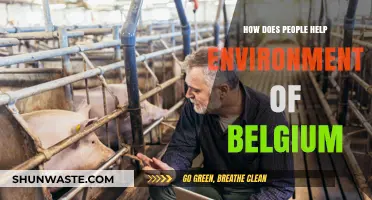 How Belgians Actively Contribute to Preserving Their Environment and Ecosystems