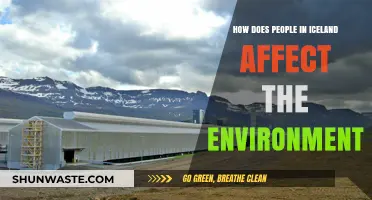 Iceland's Environmental Impact: How Residents Shape Their Unique Ecosystem