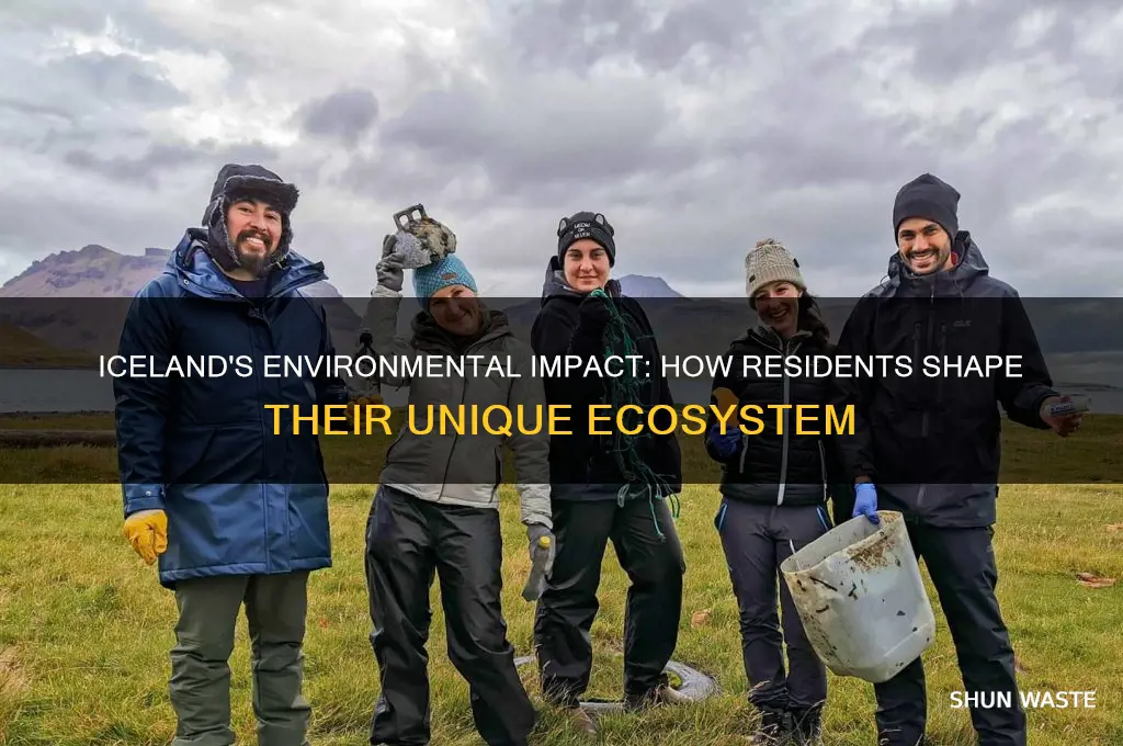 how does people in iceland affect the environment