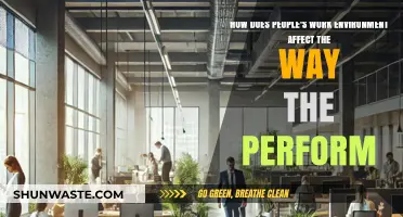 Work Environment Impact: Shaping Employee Performance and Productivity