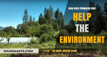 Permaculture's Eco-Friendly Impact: Sustainable Solutions for a Healthier Planet