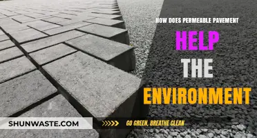 Permeable Pavement: Eco-Friendly Solutions for Sustainable Urban Drainage