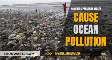 The Impact of Personal Waste: A Journey to Ocean Pollution