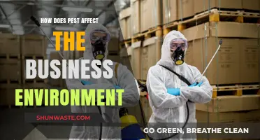 Pest Infestations: Impact on Business Operations and Reputation