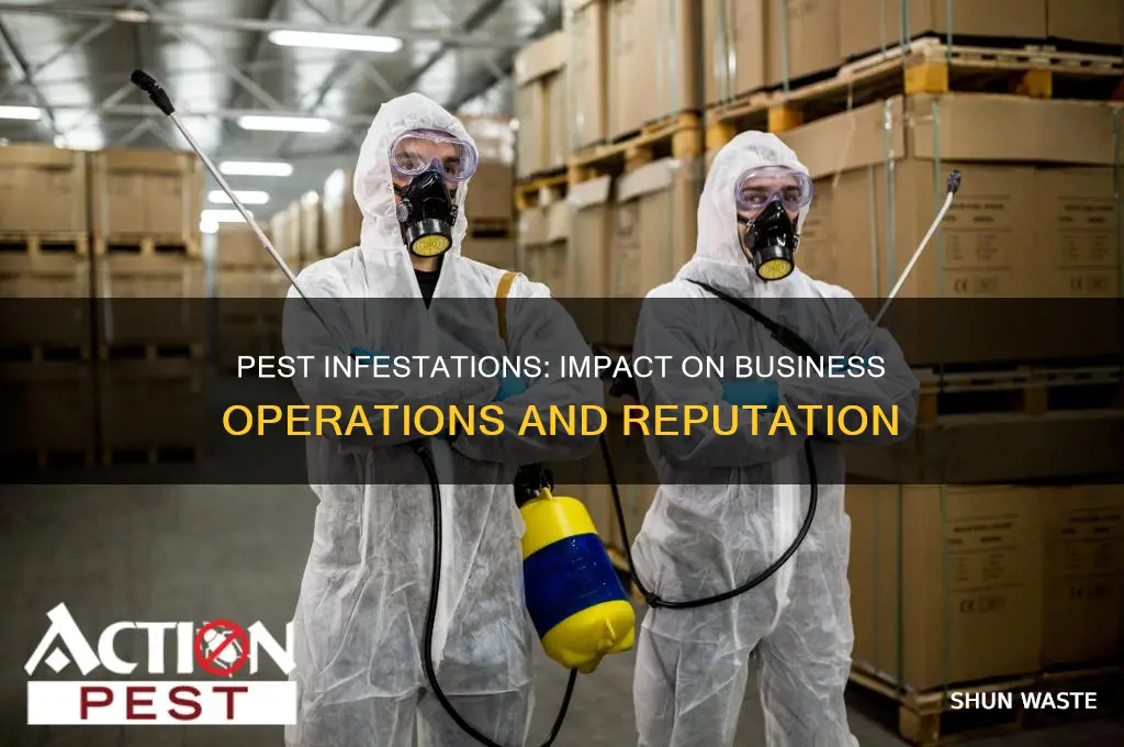 how does pest affect the business environment