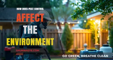 Pest Control's Environmental Impact: Balancing Solutions and Ecosystem Health