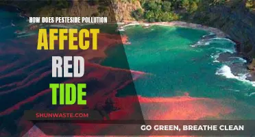 Pesticide Pollution's Impact on Red Tide Explained