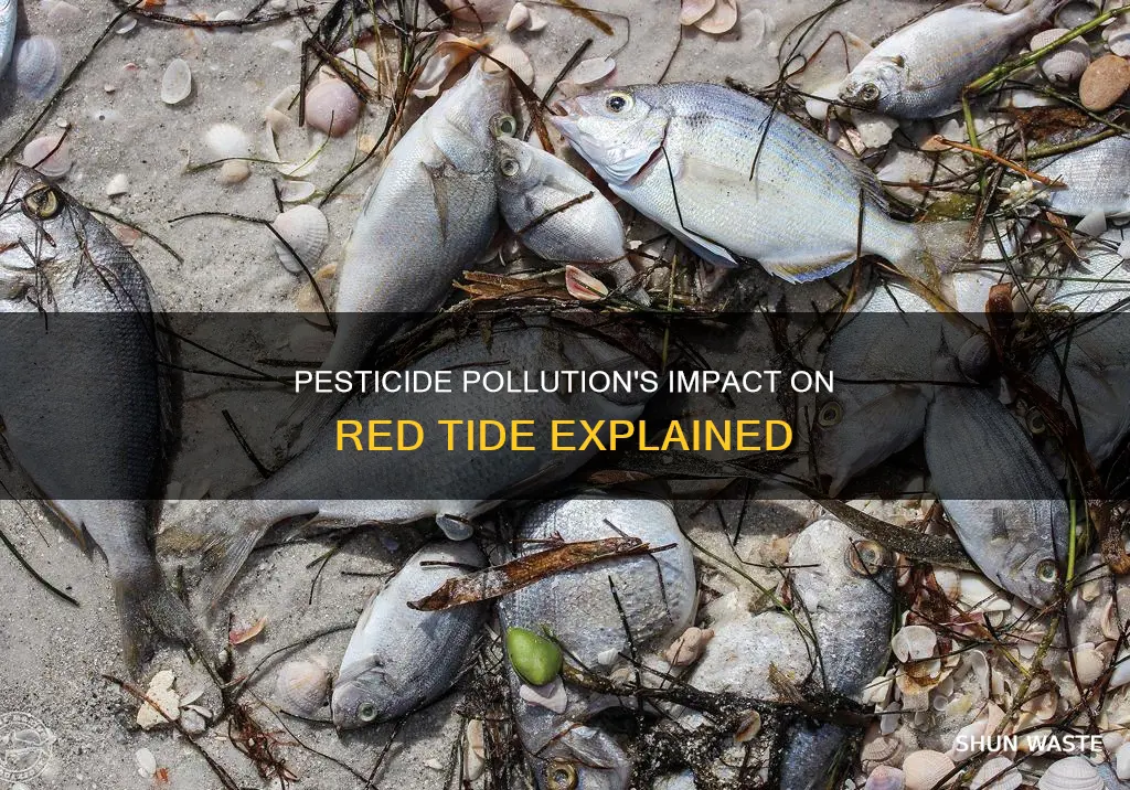 how does pesteside pollution affect red tide