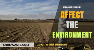 Pesticide Impact: Environmental Consequences and Ecosystem Disruption Explained