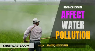 Pesticide Impact: Water Pollution and Its Ecological Consequences