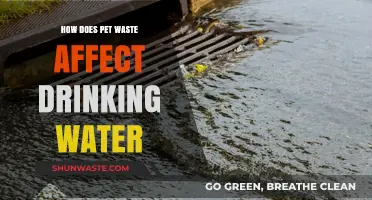 Pet Waste's Hidden Threat: Impact on Drinking Water Sources