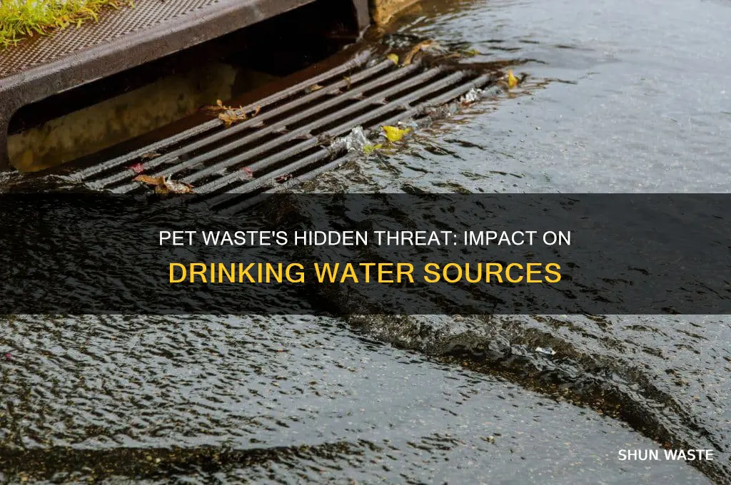 how does pet waste affect drinking water