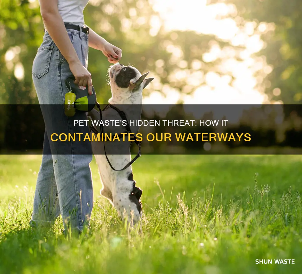 how does pet waste pollute water