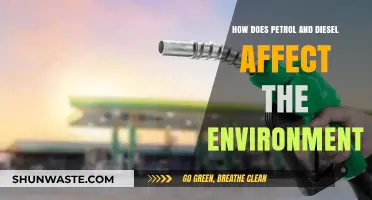 Petrol and Diesel's Environmental Impact: Pollution, Climate Change, and Solutions