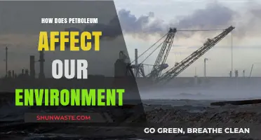 Petroleum's Environmental Impact: Pollution, Climate Change, and Ecosystem Destruction