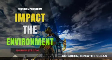 Petroleum's Environmental Impact: Pollution, Climate Change, and Ecosystem Destruction