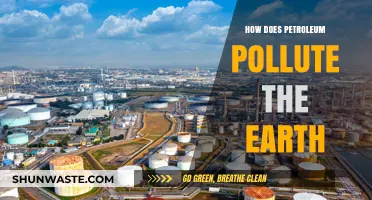 Petroleum Pollution: Earth's Darkest Threat