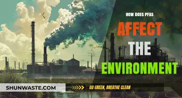 PFAS Pollution: Uncovering the Devastating Environmental Impact of Forever Chemicals