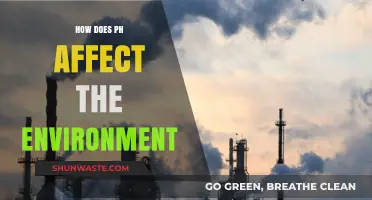 Understanding pH Impact: How Acidic Levels Shape Our Environment