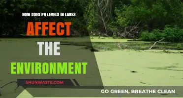pH Levels in Lakes: Impact on Aquatic Ecosystems and Environment