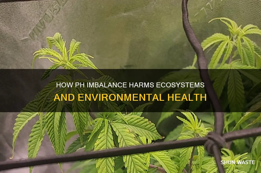 how does ph negative affect environment