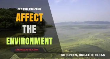 Phosphate's Environmental Impact: Pollution, Ecosystem Disruption, and Water Quality Threats
