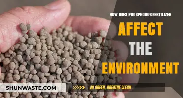 Phosphorus Fertilizer's Environmental Impact: Benefits, Risks, and Sustainability
