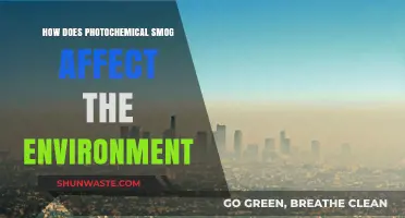 Photochemical Smog's Devastating Impact on Ecosystems and Air Quality