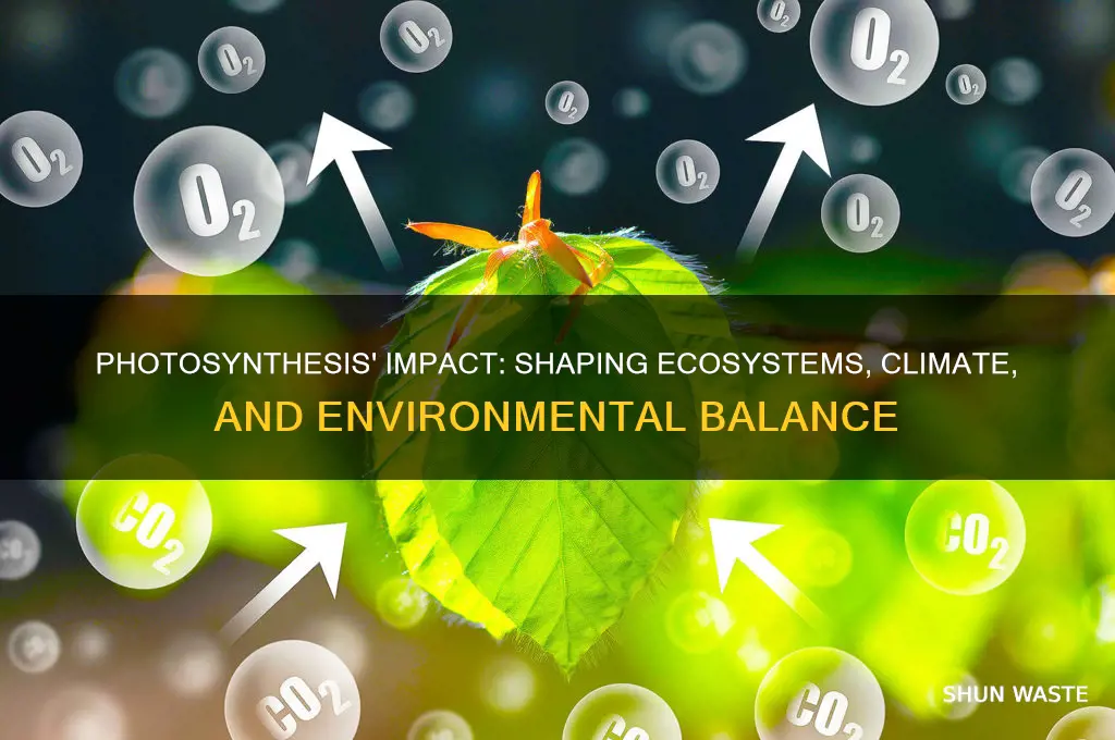 how does photosynthesis affect the environment