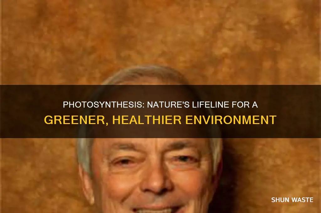 how does photosynthesis help the environment