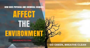Environmental Impact: Understanding Physical and Chemical Changes' Role