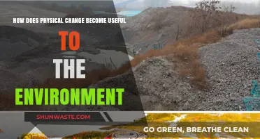 Transforming Landscapes: How Physical Changes Benefit Our Environment