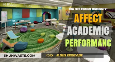 Classroom Conditions: How Physical Spaces Shape Student Academic Success