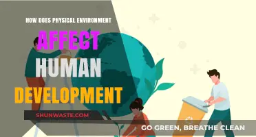 Environment's Impact: Shaping Human Growth and Development Over Time