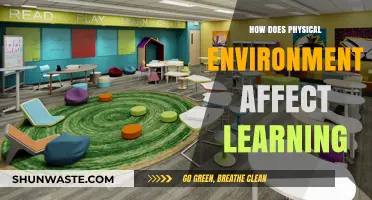 Shaping Minds: The Impact of Physical Spaces on Learning Outcomes